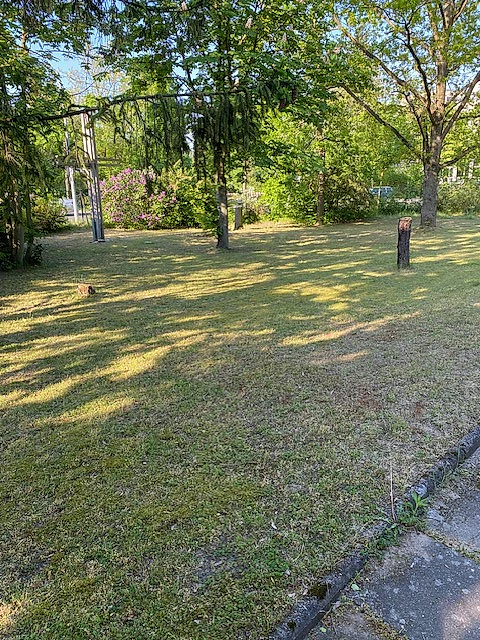 Ein grasbewachsener Kirchhof mit Bäumen und entferntem Laub.